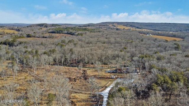 property view of mountains