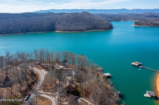 drone / aerial view featuring a water and mountain view and a forest view