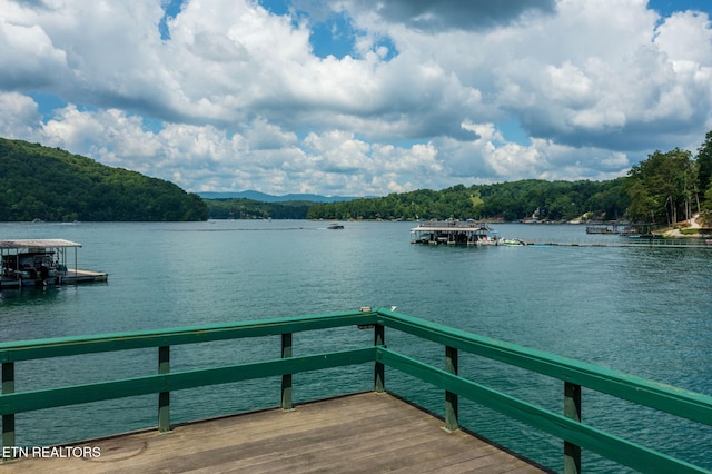 1447 Cove Pointe Rd, Lafollette, TN 37766 - dock area featuring a water view and a view of trees