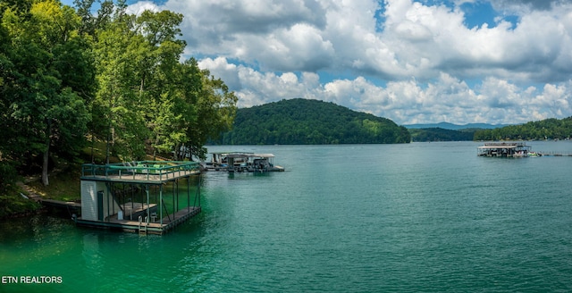 1447 Cove Pointe Rd, Lafollette, TN 37766 - water view featuring a floating dock and a heavily wooded area