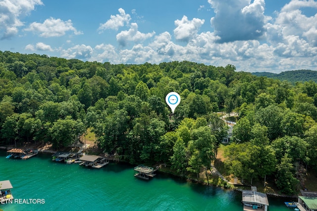 1447 Cove Pointe Rd, Lafollette, TN 37766 - drone / aerial view of a nearby body of water and a forest