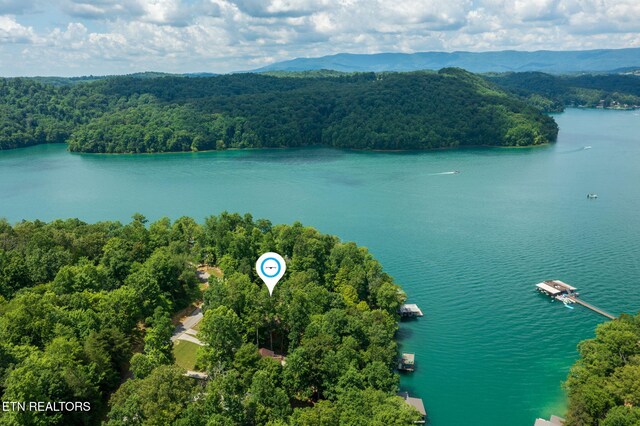 1447 Cove Pointe Rd, Lafollette, TN 37766 - aerial view of a heavily wooded area and a water and mountain view