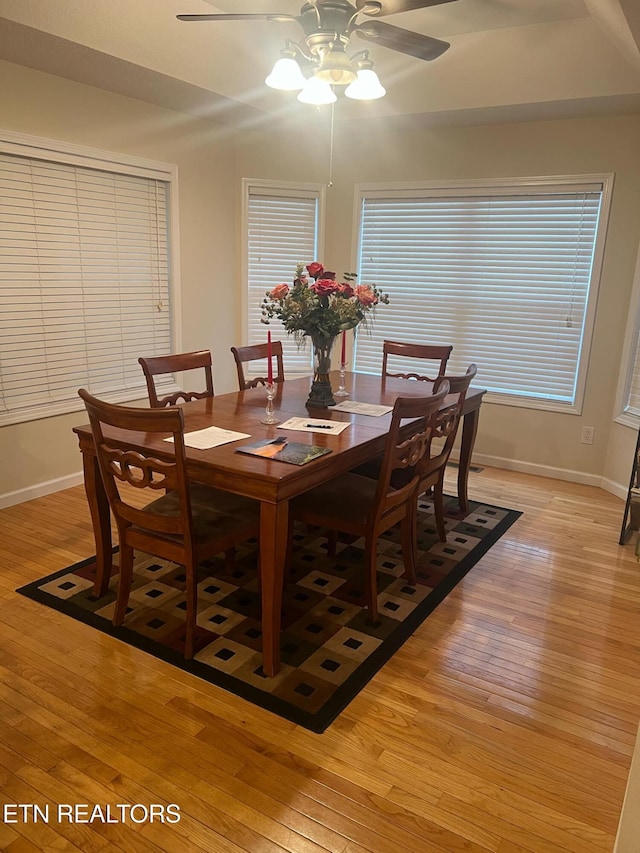 dining area featuring light hardwood / wood-style flooring and ceiling fan