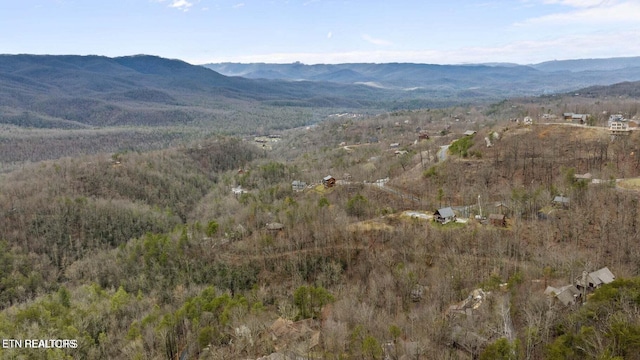 922 Scenic Trl, Gatlinburg, TN 37738