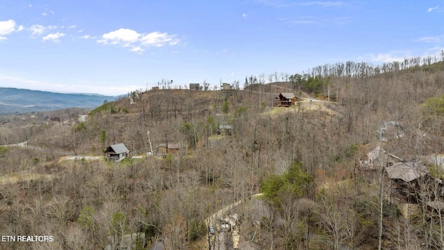 922 Scenic Trl, Gatlinburg, TN 37738