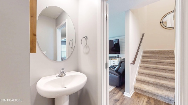 bathroom featuring wood-type flooring and sink