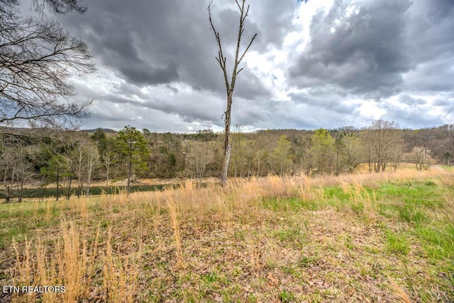 0 Wagon Ln, Speedwell TN, 37870 land for sale