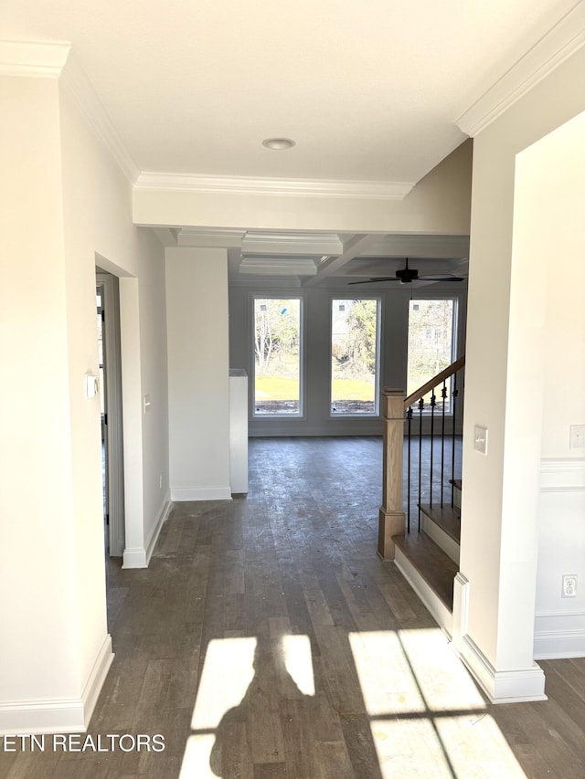 corridor with a wealth of natural light, ornamental molding, and wood finished floors