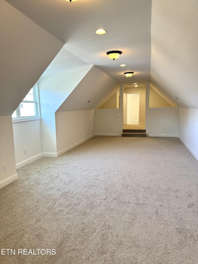 additional living space featuring lofted ceiling, a textured ceiling, carpet, and baseboards