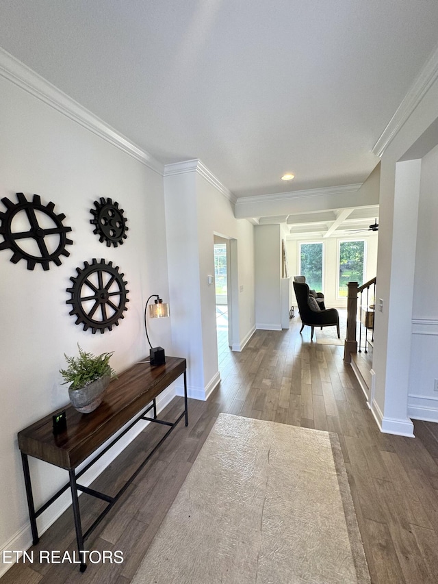 11707 Grigsby Chapel Rd, Knoxville, TN 37934 - hallway with dark wood-type flooring, crown molding, baseboards, and recessed lighting