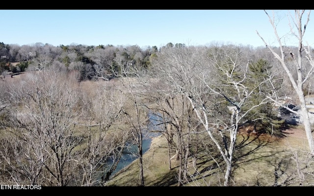 view of local wilderness