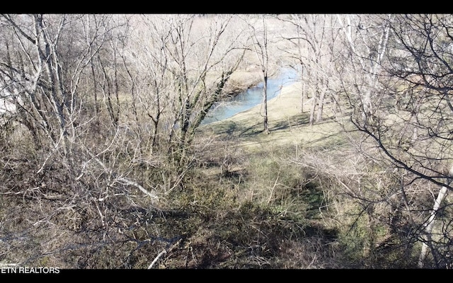 view of local wilderness