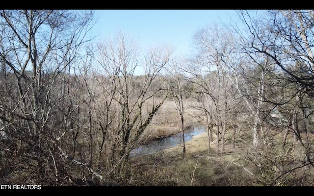 view of local wilderness