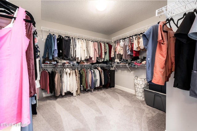 spacious closet with carpet flooring