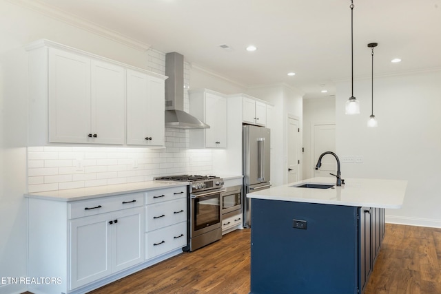 kitchen featuring wall chimney exhaust hood, appliances with stainless steel finishes, dark wood-style flooring, and a sink