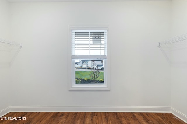 spacious closet featuring dark wood-type flooring