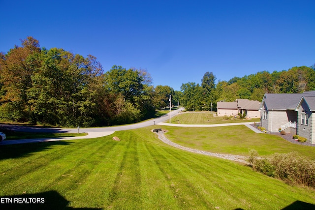view of property's community featuring a lawn