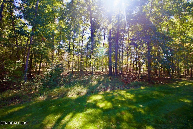 view of green lawn featuring a view of trees