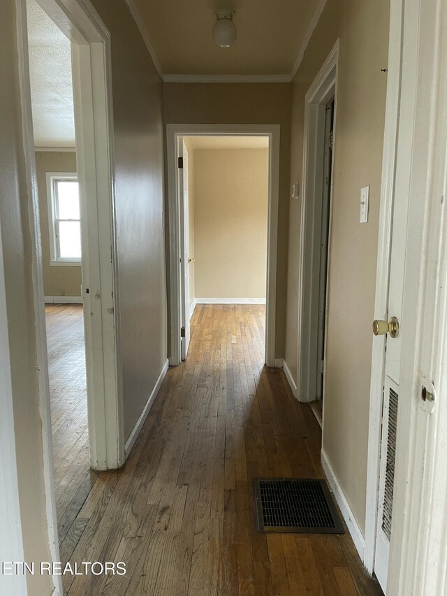 hall featuring ornamental molding and wood-type flooring