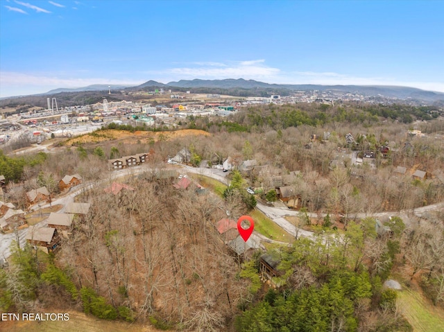 birds eye view of property featuring a mountain view