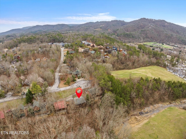 aerial view featuring a mountain view