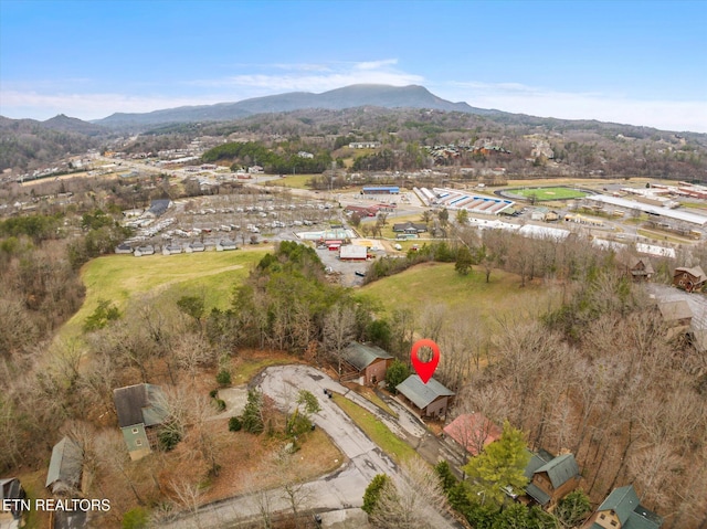 birds eye view of property featuring a mountain view