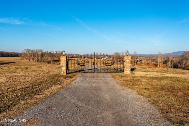 view of gate featuring a rural view and a yard