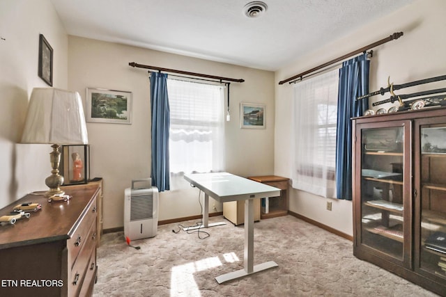 carpeted office space with a wealth of natural light