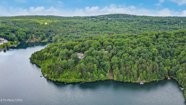 27 Brambleton Ct, Crossville, TN 38558 - view of property location with a forest and a nearby body of water