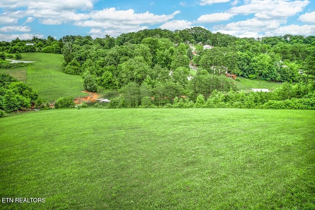 LOT109 Tumbleweed Trl, Rutledge TN, 37861 land for sale