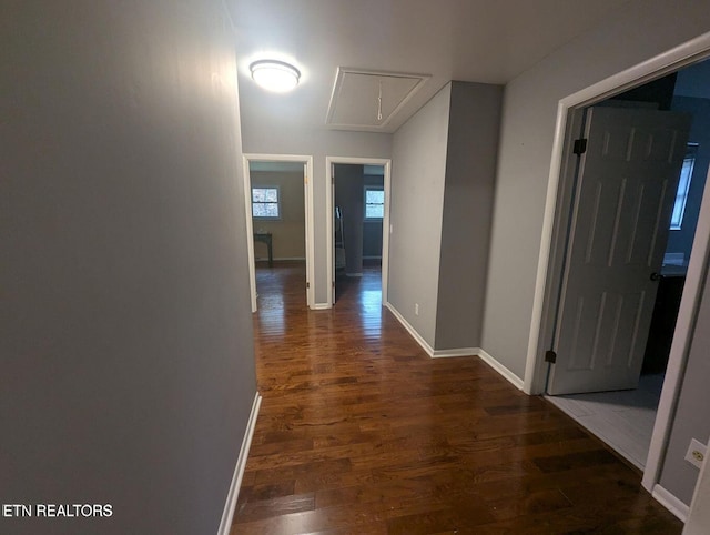 hallway featuring dark hardwood / wood-style floors