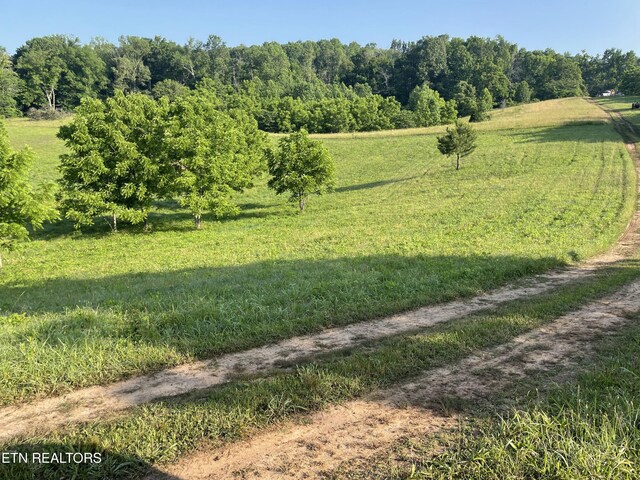 40AC Monterey Hwy, Sparta, TN 38583 - photo 7