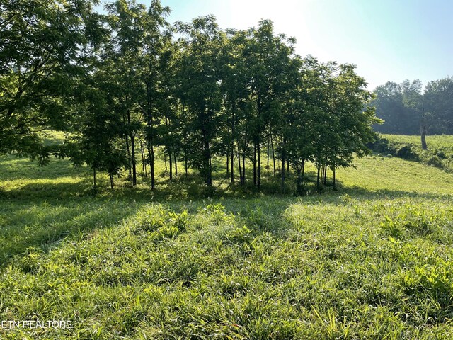 40AC Monterey Hwy, Sparta, TN 38583 - photo 29