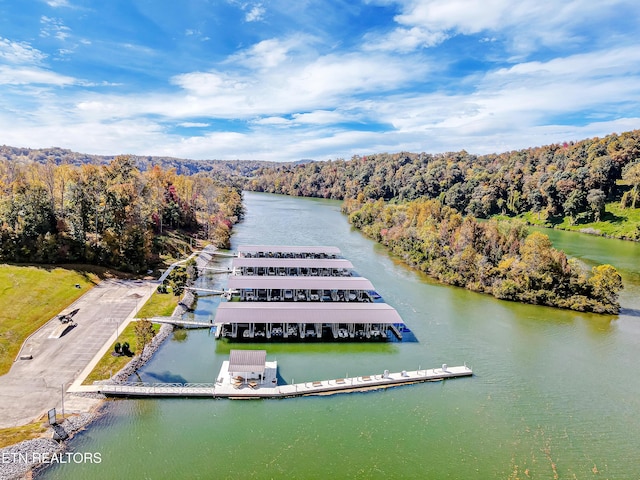 birds eye view of property featuring a water view and a wooded view
