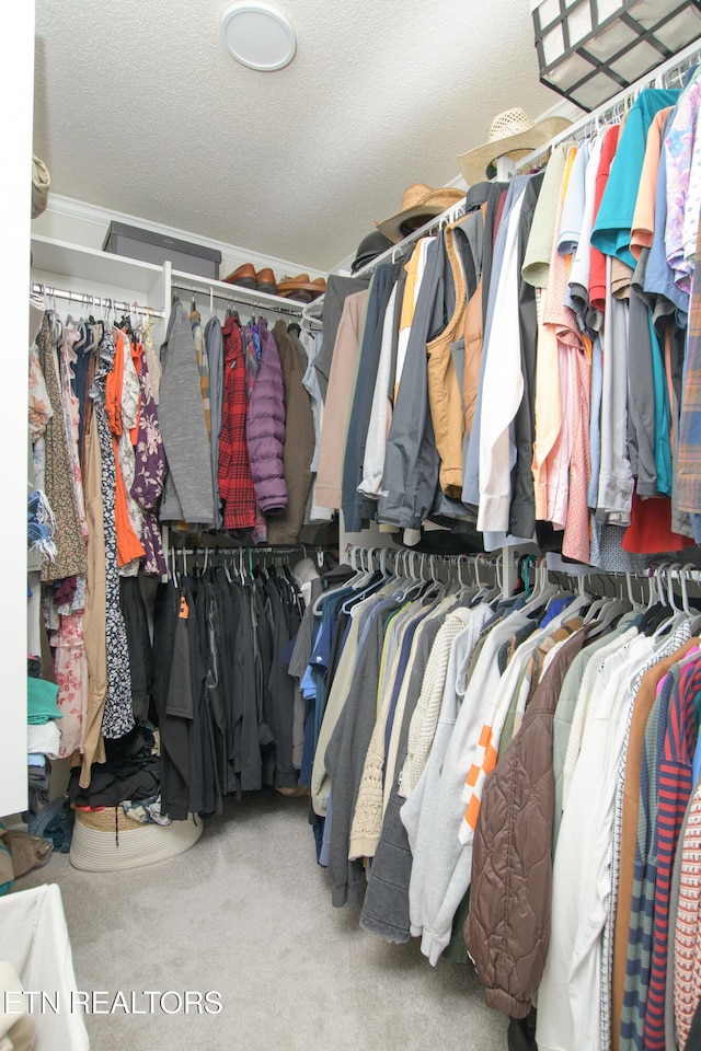 walk in closet featuring carpet floors