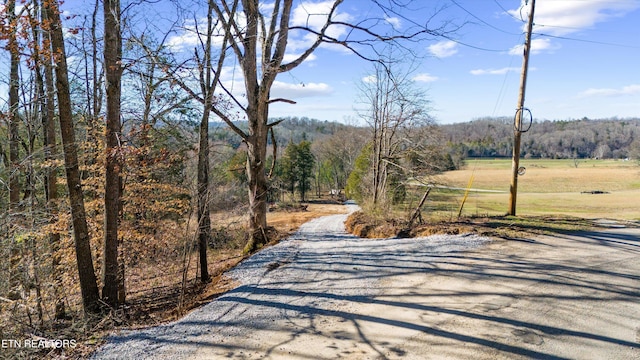 331 Blackburn Ln, Lenoir City TN, 37771 land for sale