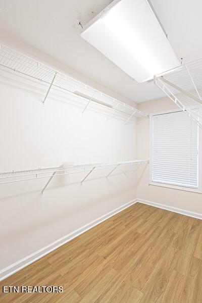 spacious closet featuring hardwood / wood-style floors