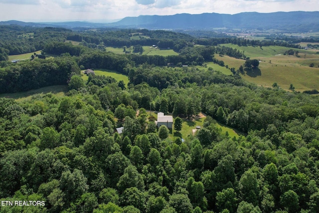 birds eye view of property with a mountain view