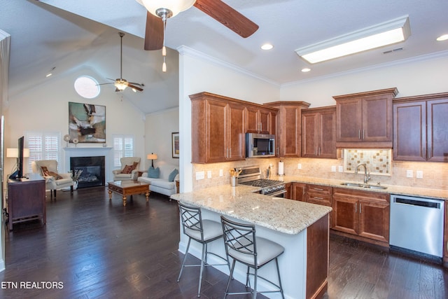 kitchen with sink, stainless steel appliances, a kitchen breakfast bar, dark hardwood / wood-style flooring, and kitchen peninsula