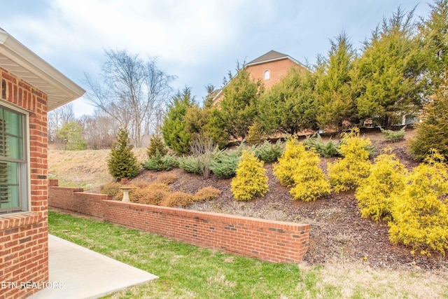 view of yard with a patio area