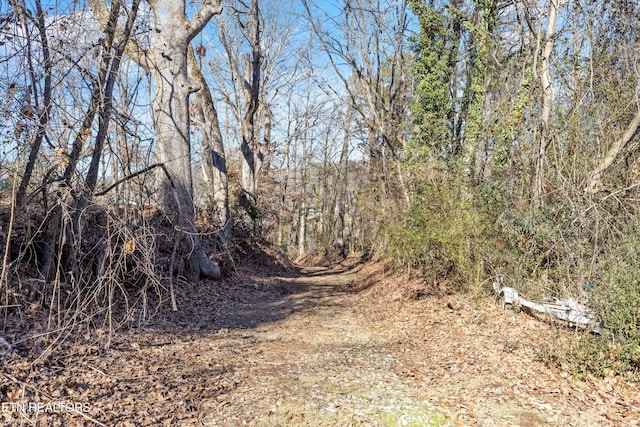 Listing photo 3 for LOT27 Coulter Shoals Cir, Lenoir City TN 37772