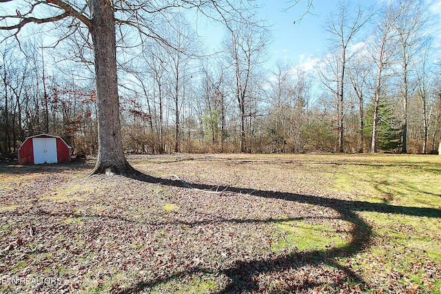 view of yard featuring a shed