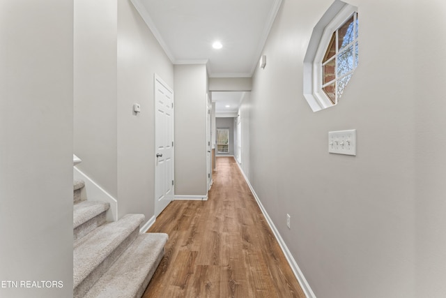 hall with crown molding, hardwood / wood-style floors, and a wealth of natural light