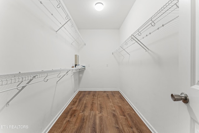 walk in closet with hardwood / wood-style flooring