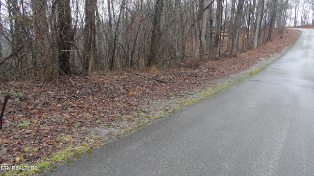 LOTS17 Savannah, Smithville, TN 37166 - photo 11