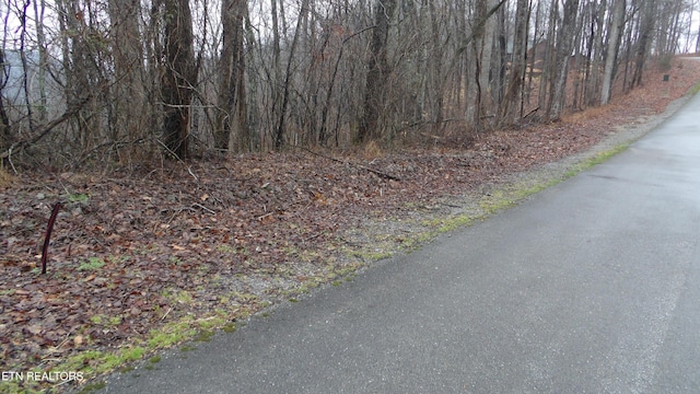 LOTS17 Savannah, Smithville, TN 37166 - photo 12