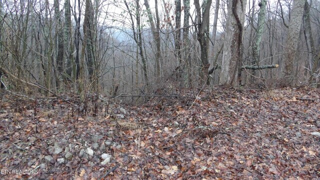 LOTS17 Savannah, Smithville, TN 37166 - photo 4