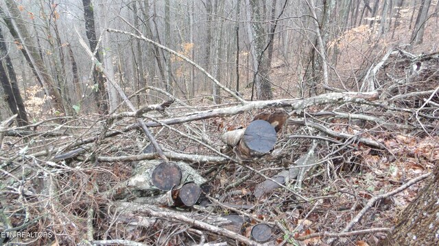 LOTS17 Savannah, Smithville, TN 37166 - photo 6