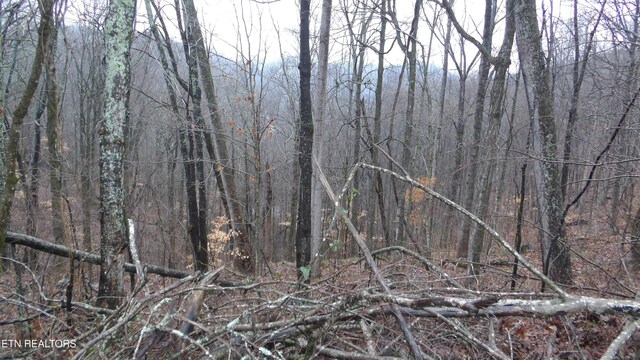 LOTS17 Savannah, Smithville, TN 37166 - photo 7