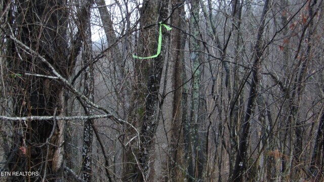 LOTS17 Savannah, Smithville, TN 37166 - photo 8